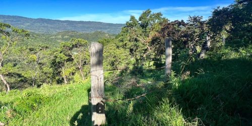 0624c9f8-9126-41e0-b6a5-07837c9cdebe