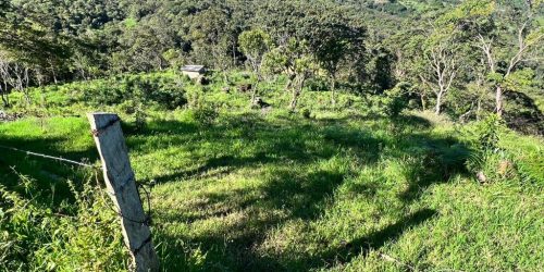 0c11254a-f444-4841-8fca-b8c04c0a73e2