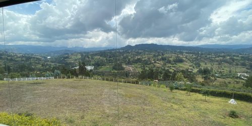 1f41d8f7-22e6-4a26-a85a-896bd8b69296