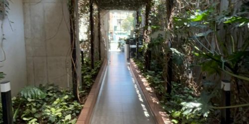 1fad57a5-d9fb-48ff-94e8-6312bc59c1b9