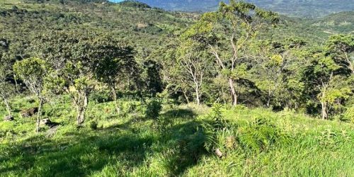 2605ccc4-045f-45a2-830f-f8dd8d5ae1e4