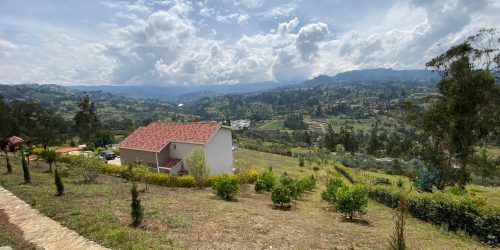 3a867710-f99d-4e03-88fa-3aefb384870a