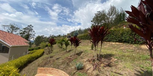 4a302be0-fba0-4c27-b320-8cee6ecd70d8