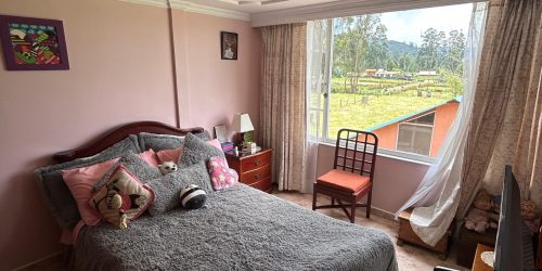 521d709e-0670-42ea-9b65-1513a9c69be8