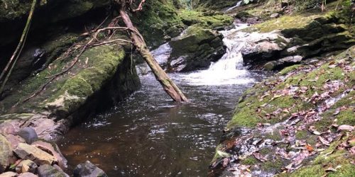 6c44d540-c8a9-41fa-9cd4-cf4fbc88e3c6