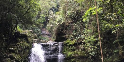 71cda75e-d0de-44f4-986d-e7bec3fc8017