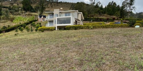 7c92f313-3037-4597-8e2d-b36dd715d445