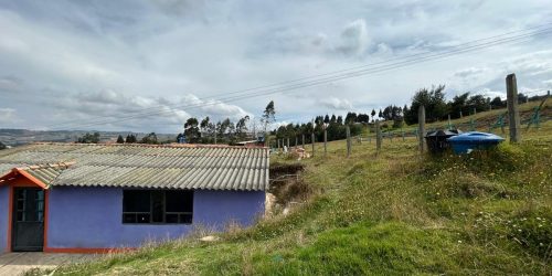 81078e8d-25fb-419e-85df-2c3dad6a073f