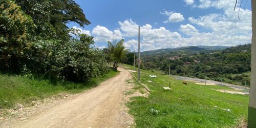 8fd25b5f-7759-47f9-8753-5dda347b6440