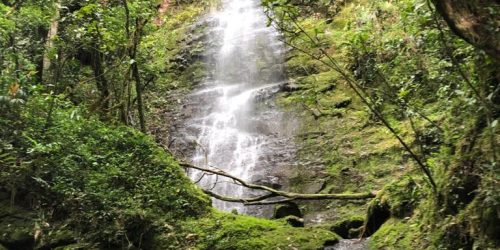 92b698cd-d63c-433b-8391-a34a39b95519