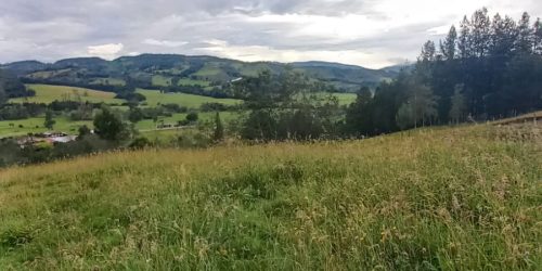 IMG-20250407-WA0016 (1)