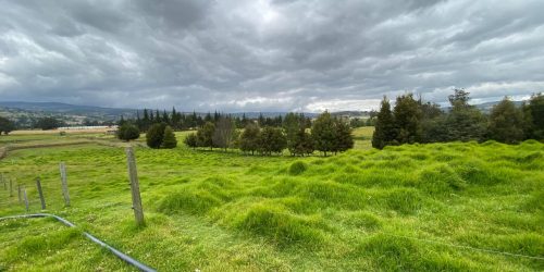 Imagen de WhatsApp 2025-01-28 a las 13.52.55_10acb06d