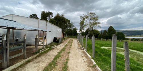 Imagen de WhatsApp 2025-01-28 a las 13.52.55_166aacbe