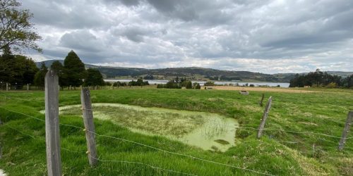 Imagen de WhatsApp 2025-01-28 a las 13.52.55_8cb2f1ff