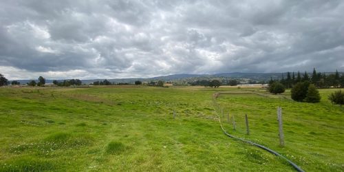 Imagen de WhatsApp 2025-01-28 a las 13.52.55_8e06b641