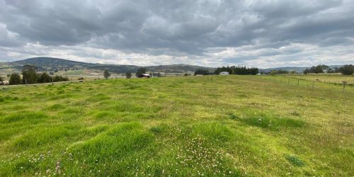 Imagen de WhatsApp 2025-01-28 a las 13.52.55_ca8442a9