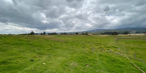 Imagen de WhatsApp 2025-01-28 a las 13.52.55_fe8f6528