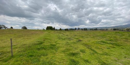 Imagen de WhatsApp 2025-01-28 a las 13.53.35_02eb2c53