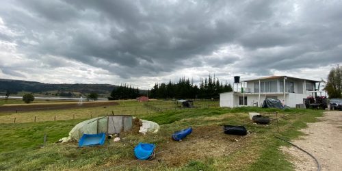 Imagen de WhatsApp 2025-01-28 a las 13.53.35_15fefd95