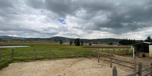 Imagen de WhatsApp 2025-01-28 a las 13.53.35_243ca9c5