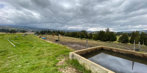 Imagen de WhatsApp 2025-01-28 a las 13.53.35_35ee5e39