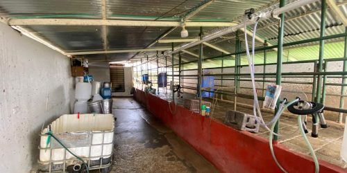 Imagen de WhatsApp 2025-01-28 a las 13.53.35_83263195