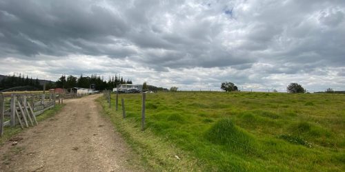 Imagen de WhatsApp 2025-01-28 a las 13.53.35_a94f151a