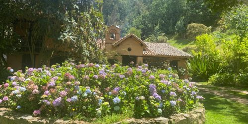 PHOTO-2024-10-23-11-52-31