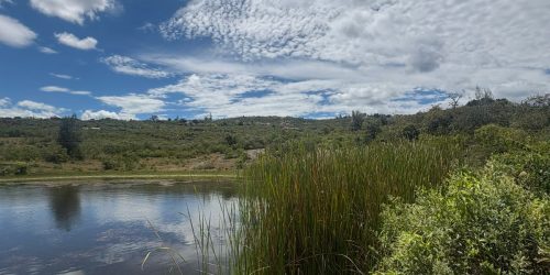 WhatsApp Image 2025-08-01 at 10.18.50 AM (1)