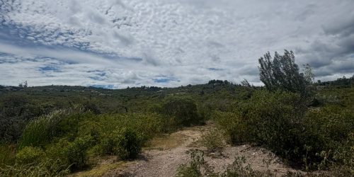 WhatsApp Image 2025-08-01 at 10.18.50 AM (2)