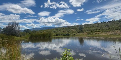 WhatsApp Image 2025-08-01 at 10.18.50 AM