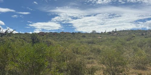 WhatsApp Image 2025-08-01 at 10.18.51 AM (1)