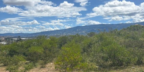 WhatsApp Image 2025-08-01 at 10.18.51 AM (3)