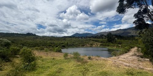 WhatsApp Image 2025-08-01 at 10.18.51 AM (5)