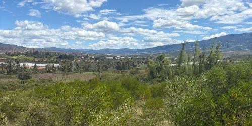 WhatsApp Image 2025-08-01 at 10.18.52 AM (1)