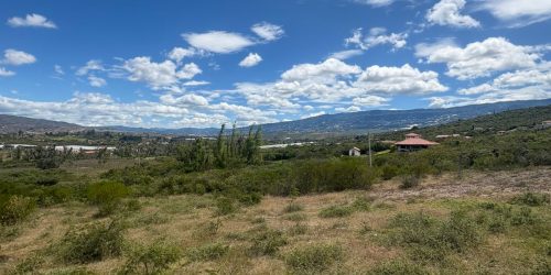 WhatsApp Image 2025-08-01 at 10.18.52 AM (3)