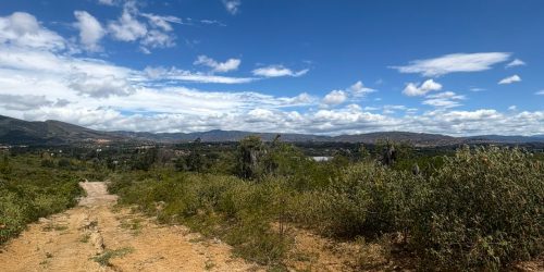 WhatsApp Image 2025-08-01 at 10.18.52 AM (4)