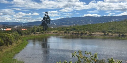 WhatsApp Image 2025-08-01 at 10.18.52 AM