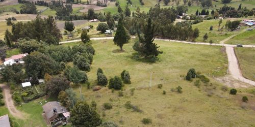 WhatsApp Image 2025-10-30 at 2.58.57 PM (1)