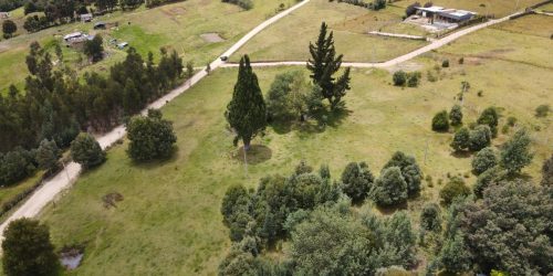 WhatsApp Image 2025-10-30 at 2.58.57 PM (2)