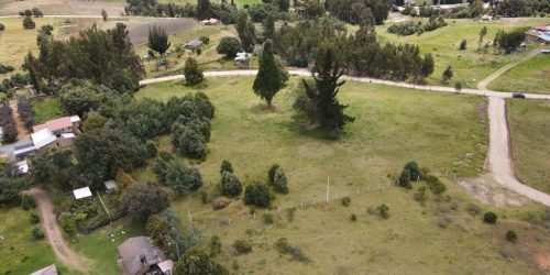 WhatsApp Image 2025-10-30 at 2.58.57 PM