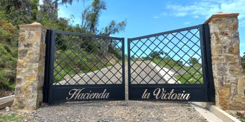 WhatsApp Image 2025-11-12 at 2.29.51 PM