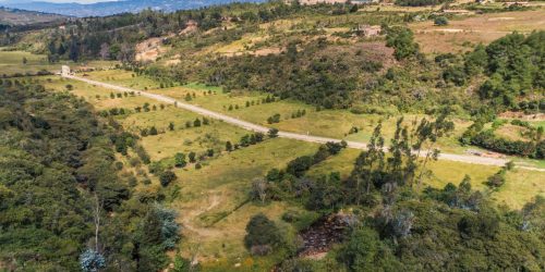 WhatsApp Image 2025-11-12 at 2.29.53 PM