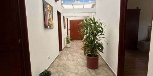 WhatsApp Image 2025-11-25 at 3.50.01 PM