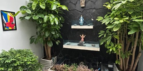 WhatsApp Image 2025-12-03 at 10.54.57 AM