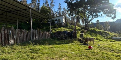 WhatsApp Image 2026-01-14 at 2.22.51 PM