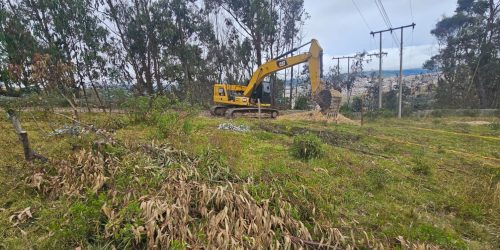 WhatsApp Image 2026-01-19 at 3.00.11 PM (2)