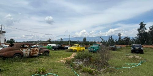 WhatsApp Image 2026-02-23 at 10.34.18 AM (1)