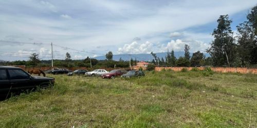 WhatsApp Image 2026-02-23 at 10.34.19 AM (1)