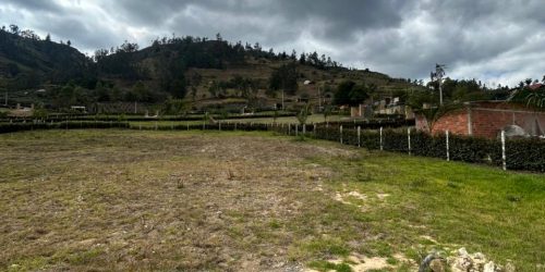 WhatsApp Image 2026-02-26 at 10.12.41 AM (1)